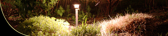 Light Emitting Diodes